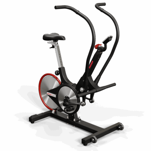 M3i Total Body Trainer